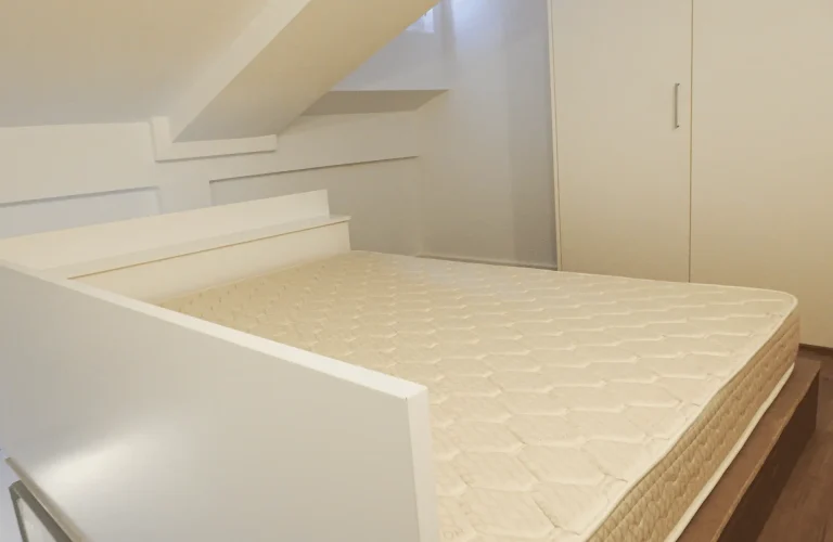 DSCN7681_optimized_2000